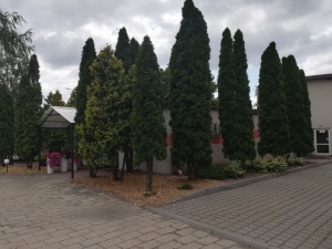 zdjęcie w galerii nr 7