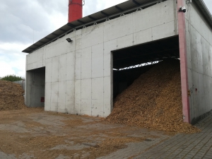 zdjęcie w galerii nr 11