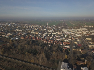 zdjęcie w galerii nr 21